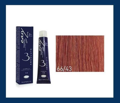 Easy Absolute hajfesték 60ml 66/43