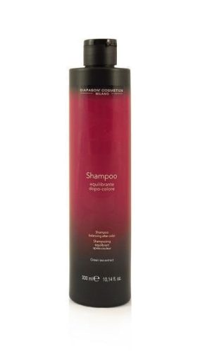 DCM Színrögzítő sampon 300 ml