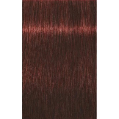 Igora Royal Absolute 5-80 60 ml