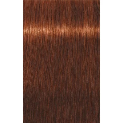 Igora Royal Absolute 6-70 60 ml