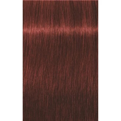 Igora Royal Absolute 6-80 60 ml