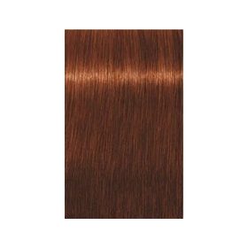 Igora Royal Absolute 7-60 60 ml
