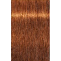 Igora Royal Absolute 7-70 60 ml