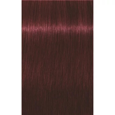 Igora Royal hajfesték 4-88 60 ml