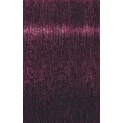 Igora Royal hajfesték 6-99 60 ml