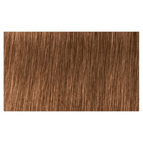   Indola Profession Caring Color Hajfesték - 7.83 Medium Blonde Chocolate Gold 60ml