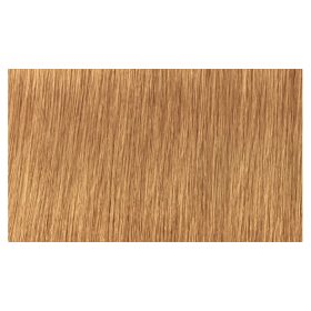   Indola Profession Caring Color Hajfesték - 8.3 Light Blonde Gold 60ml