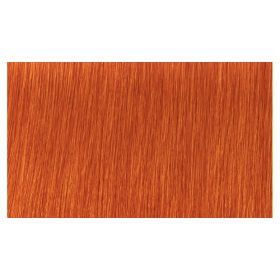   Indola Profession Caring Color Hajfesték - 0.44 Creator Intense Copper 60ml