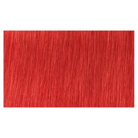   Indola Profession Caring Color Hajfesték - 0.66 Creator Intense Red 60ml
