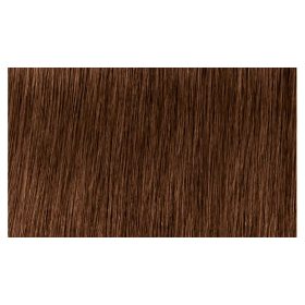   Indola Profession Caring Color Hajfesték - 6.35 Dark Blonde Gold Mahagony 60ml