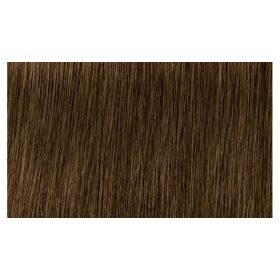   Indola Profession Caring Color Hajfesték - 6.38 Dark Blonde Gold Chocolate 60ml