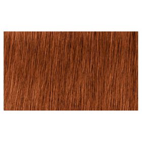   Indola Profession Caring Color Hajfesték - 6.4 Dark Blonde Copper 60ml