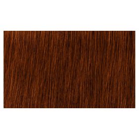   Indola Profession Caring Color Hajfesték - 6.60 Dark Blonde Red Natural 60ml