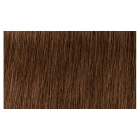   Indola Profession Caring Color Hajfesték - 6.83 Dark Blonde Chocolate Gold 60ml
